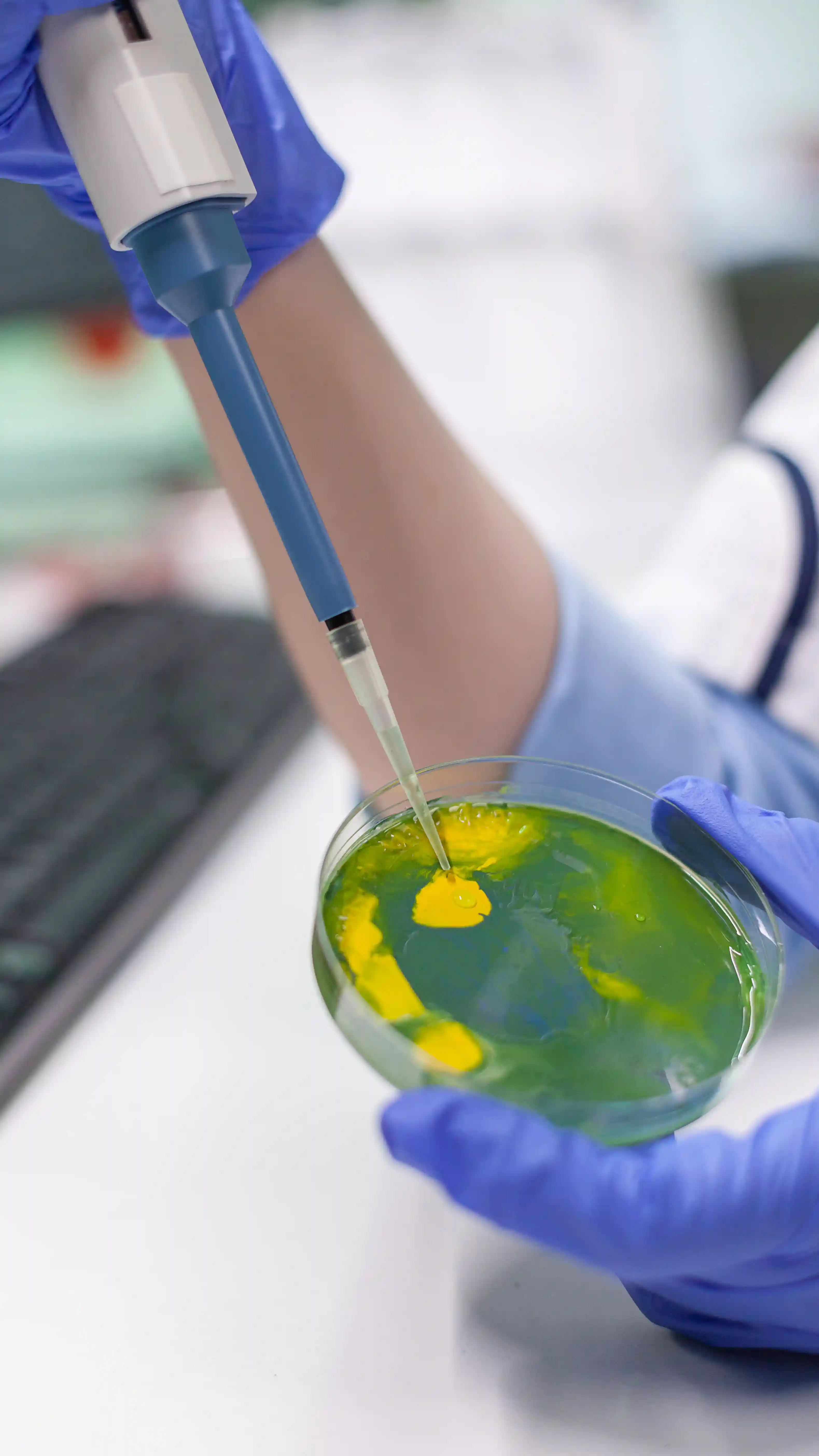 Test Kits for Milk & More