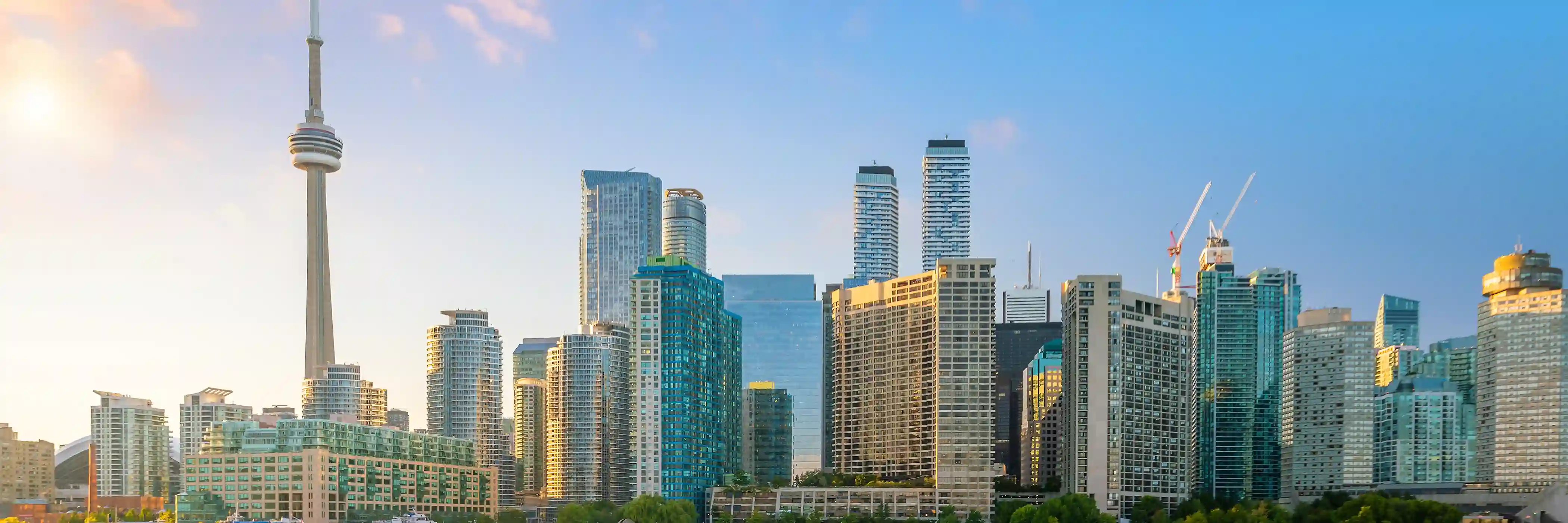 Contact Us background