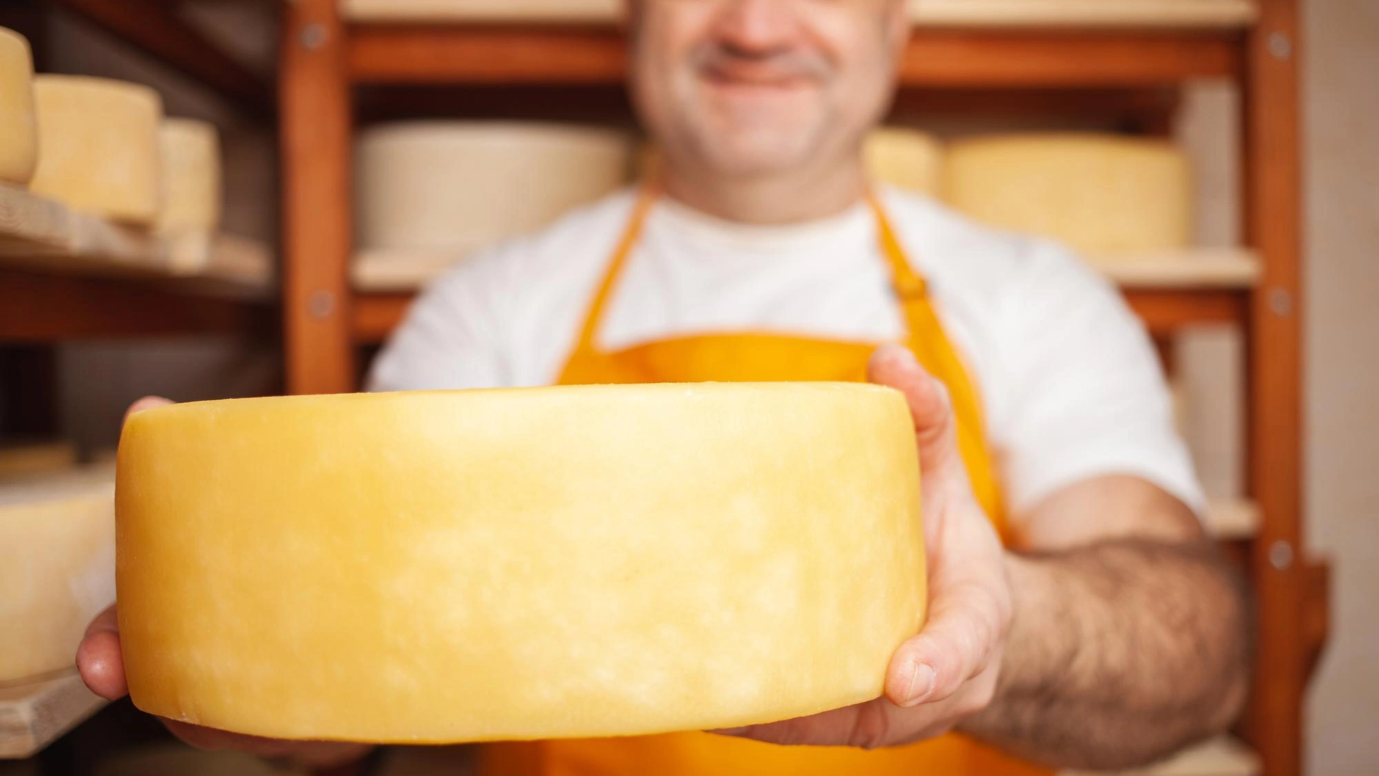 Cheese production background