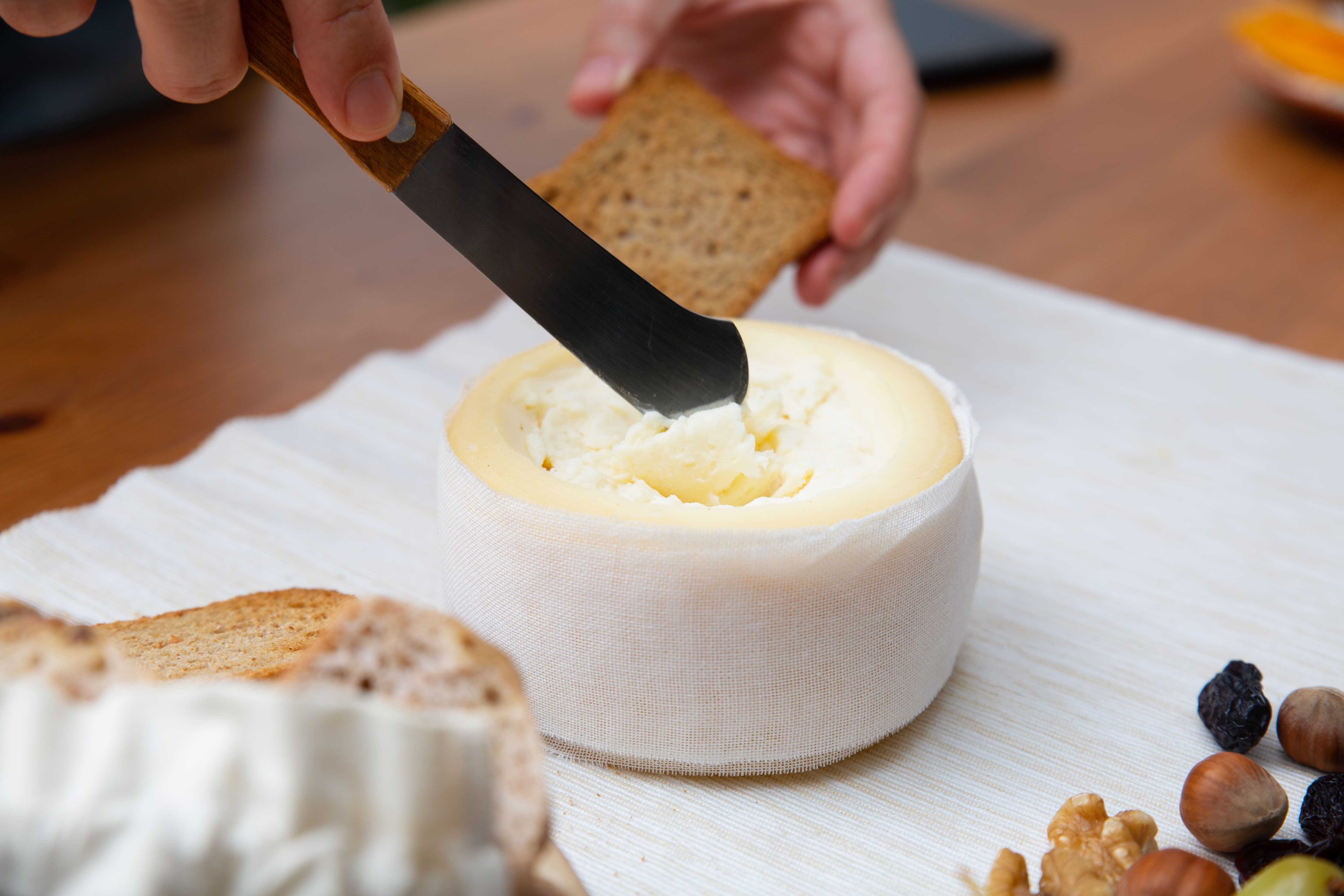 Cheese production background