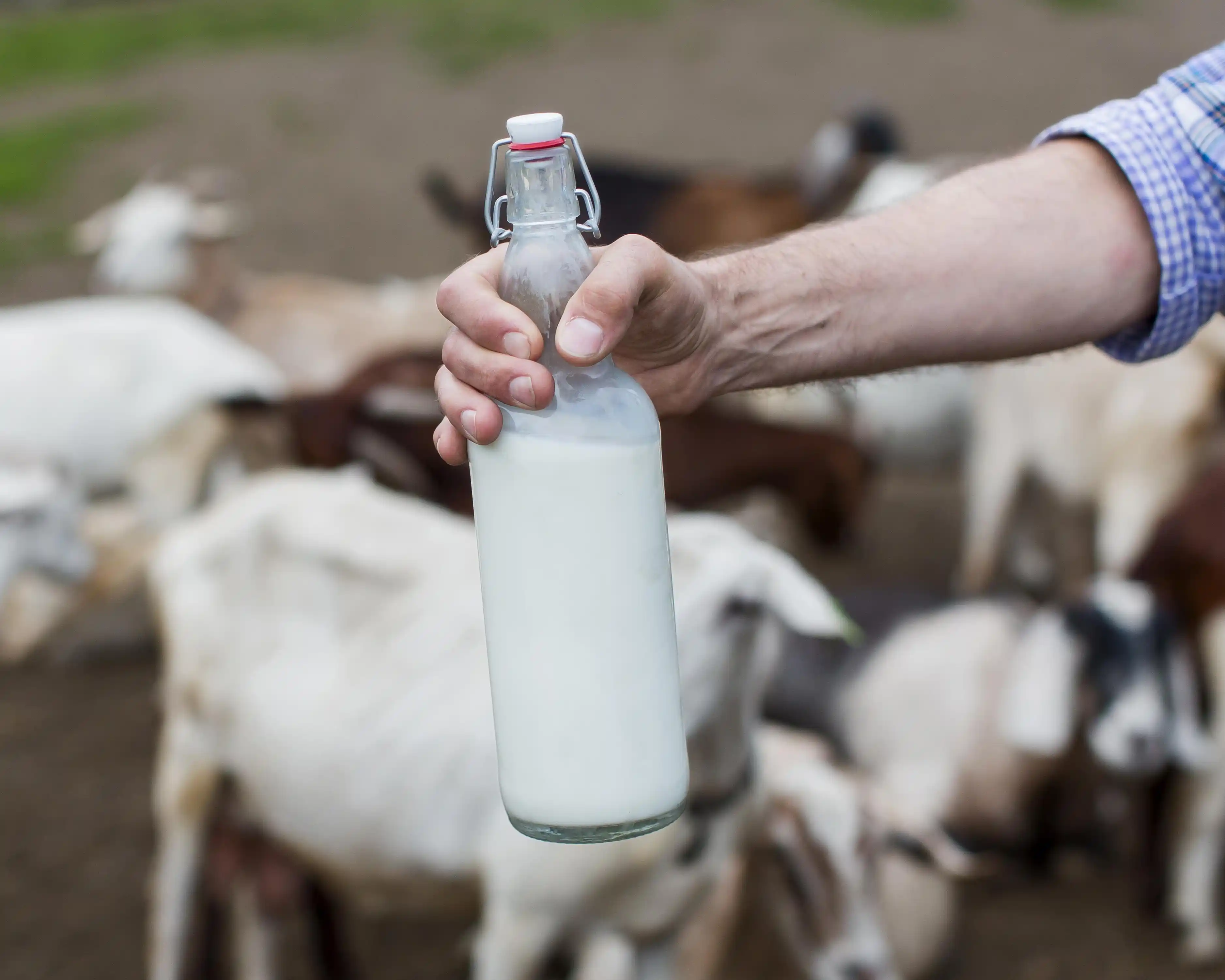 Dairy Quality & Safety Test Kits