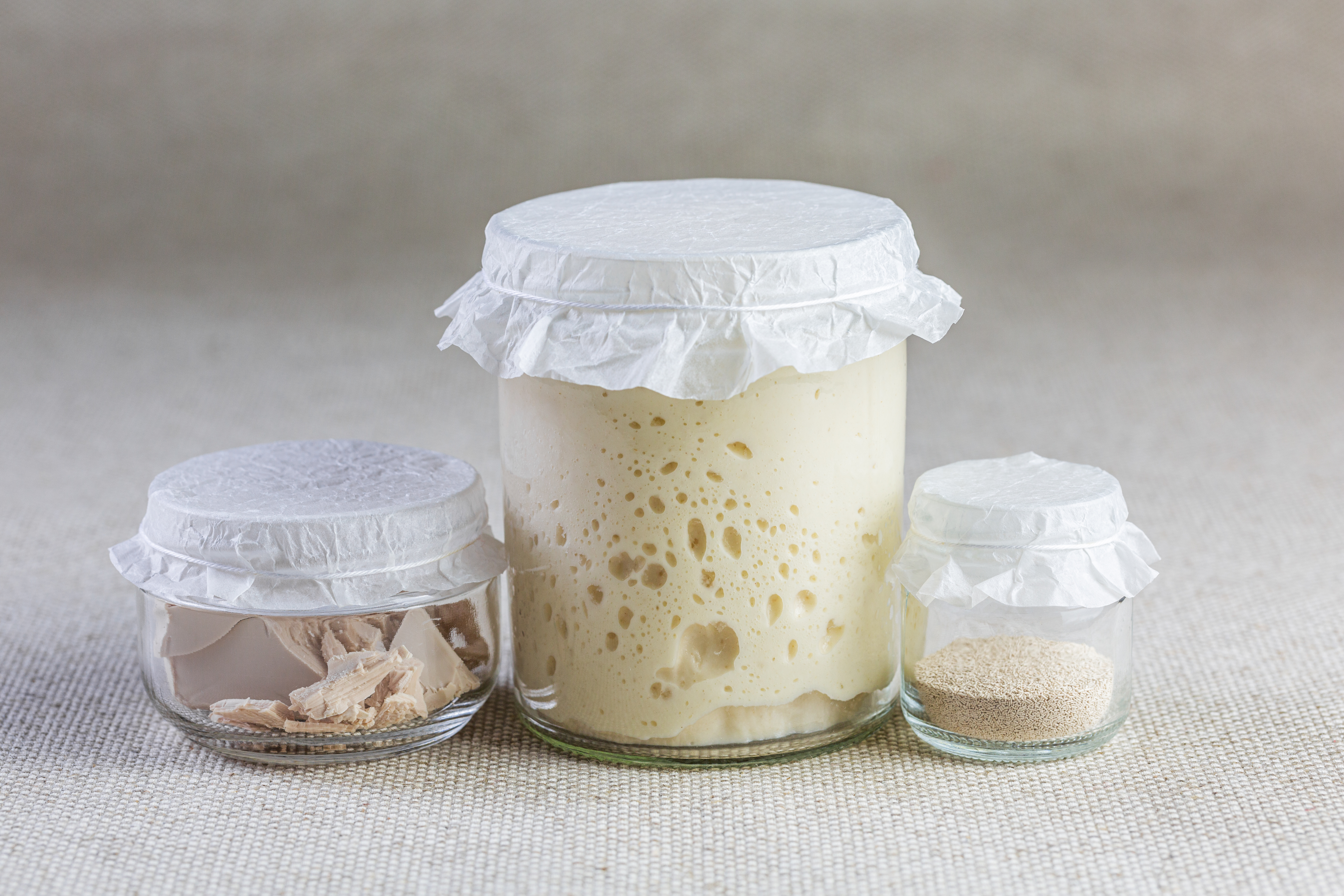 Fermented Chymosin