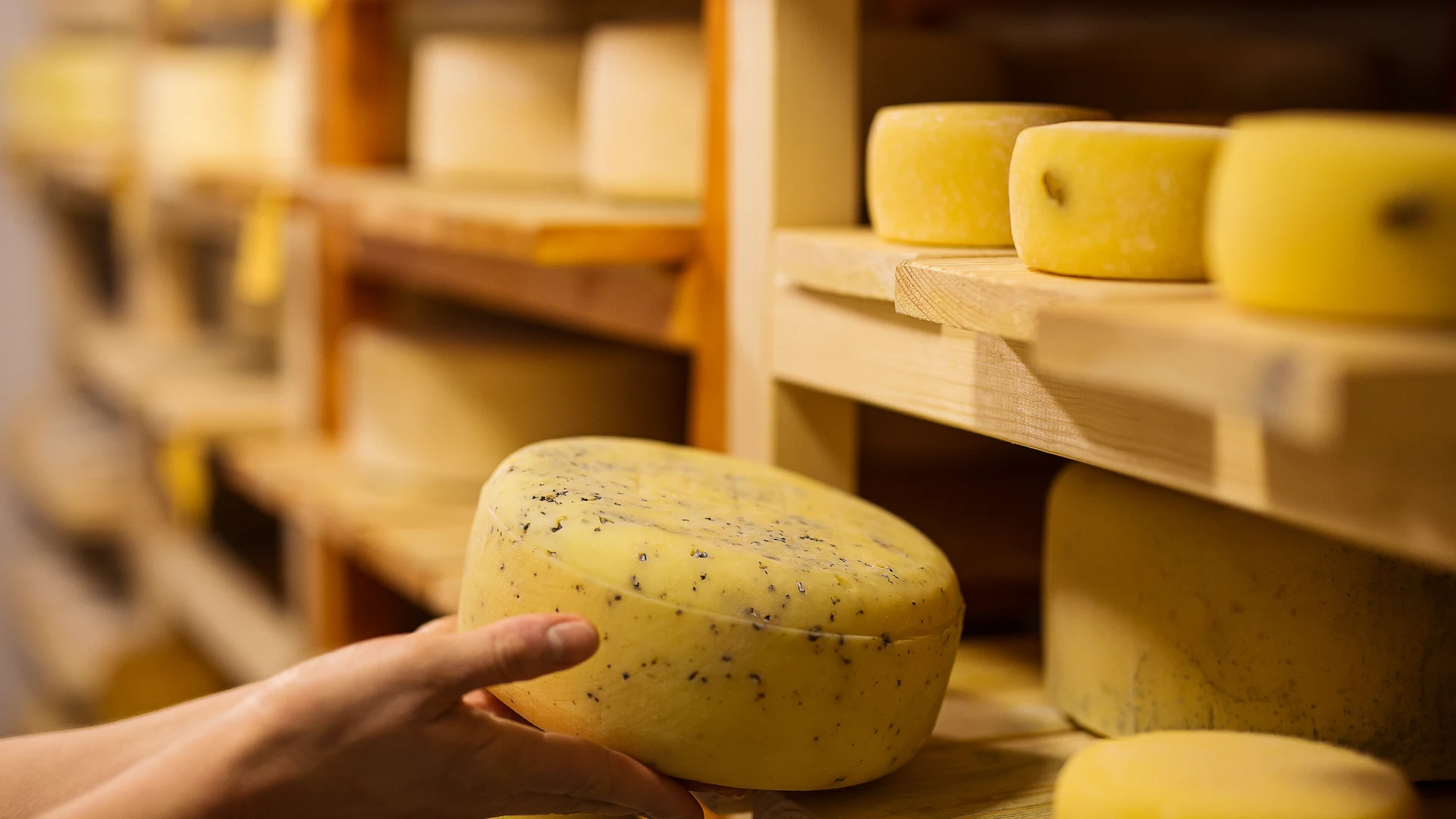 Coatings & Functional Additives background